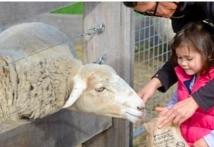 Myuna Farm, Doveton