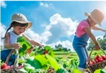 Naturipe Strawberry Farm, Bacchus Marsh
