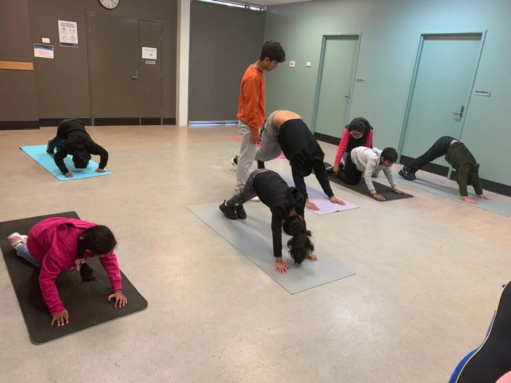 Participants stretching on yoga mats during a guided movement session